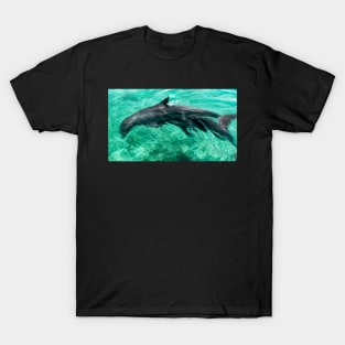 Dolphins playing T-Shirt